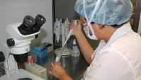 laboratoř testování -1817636 1280